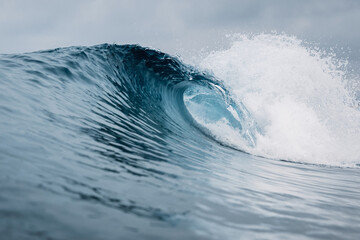 Wall Mural - Crashing glassy wave. Breaking ocean waves, perfect swell for surfing