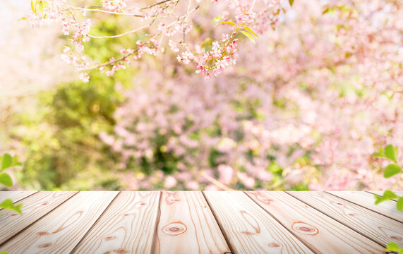 empty wooden table in sakura flower park with garden bokeh background with a country outdoor theme, 
