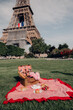 Picnic in Paris. basket with french food and flowers