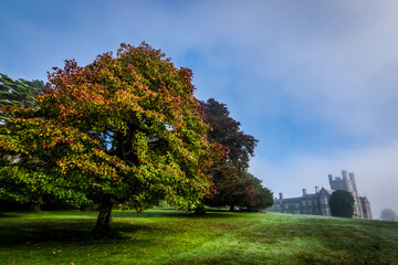 A wide angle shot of an old castle in the autumn morning mist in Ireland