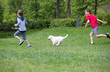 Kids Playing with Dog