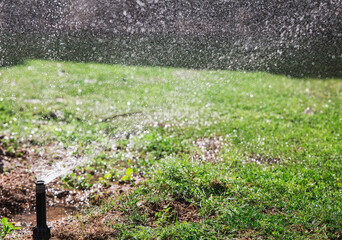 Automatic garden lawn sprinkler in action watering grass