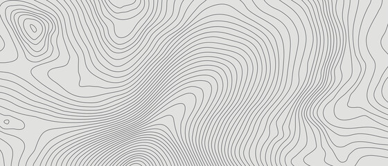 Wall Mural - The stylized height of the topographic contour in lines and contours. The concept of a conditional geography scheme and the terrain path. Black on Gray. Ultra wide size. Vector illustration.