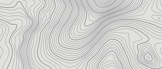 Wall Mural - the stylized height of the topographic contour in lines and contours. the concept of a conditional g