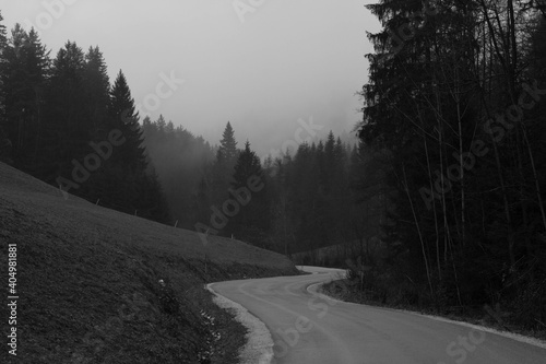 Obraz Dibond Empty Road Amidst Trees Against Sky