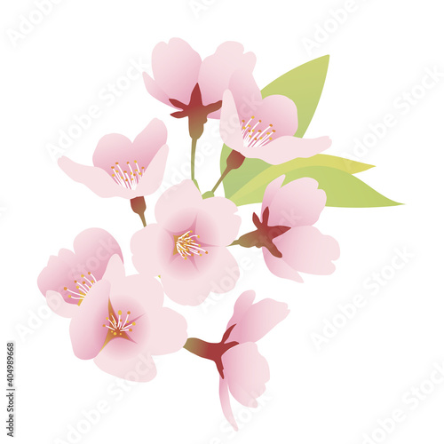 17 502 Flower Spring Pitiful Wall Murals Canvas Prints Stickers Wallsheaven 17 502 Flower Spring Pitiful Wall Murals Canvas Prints Stickers Wallsheaven