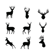 Deer Silhouette Collection