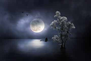 moon in the night