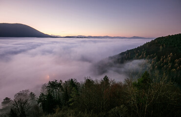 Wall Mural - sea fog in the pink light is very beautiful and fabulous, picturesque vague wave rolled on the slope