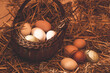 Organic eggs collected in a basket