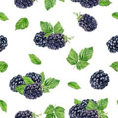 Wall Mural - Watercolor seamless pattern blackberries isolated on white background.