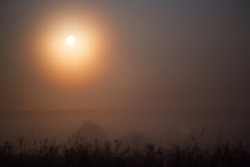 Wall Mural - the moon shines in the fog at night. natural background.