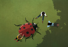 Kids Playing With Large Ladybug In Grass
