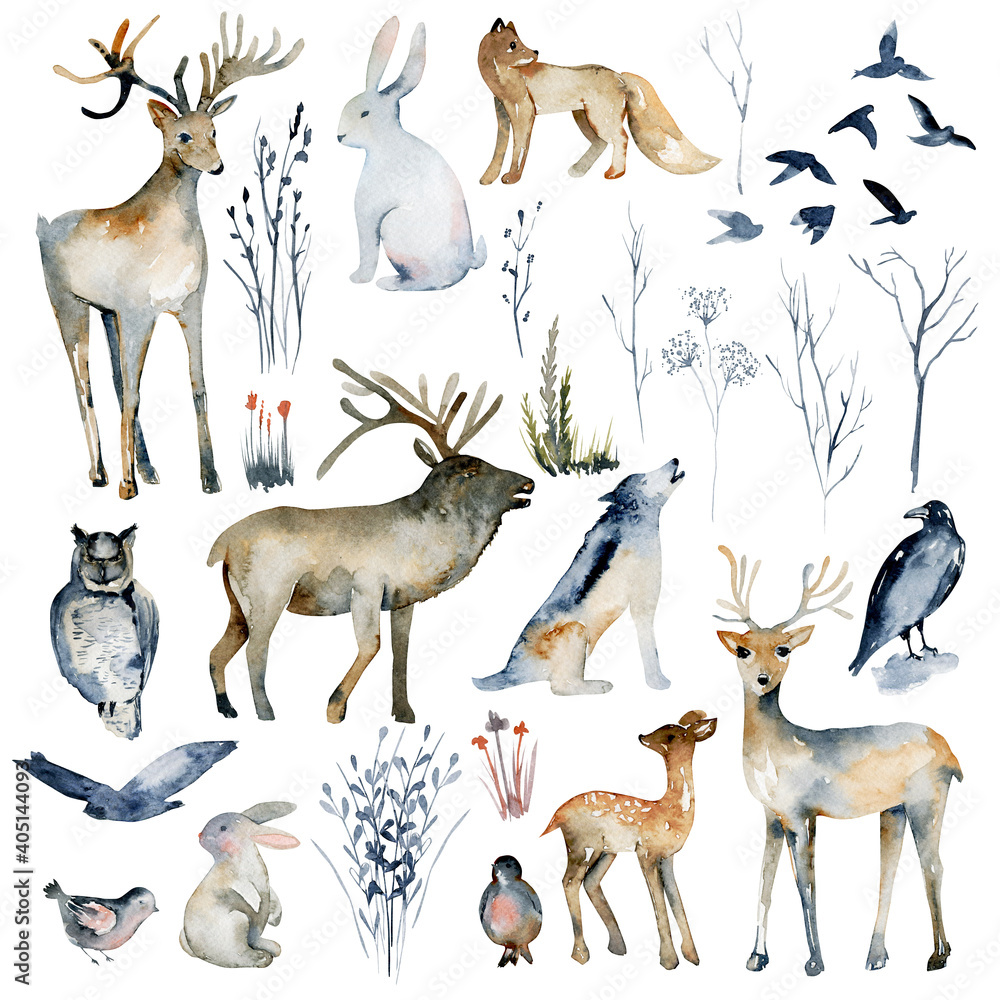 Collection of watercolor forest animals (wolf, owl, fox, rabbit, deer, hare, birds, elk) and winter dry forest plants, hand drawn isolated illustration on white background - obrazy, fototapety, plakaty 