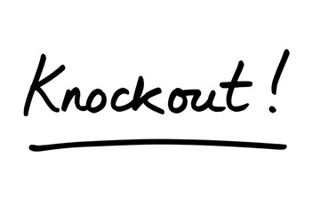 Canvas Print - Knockout!