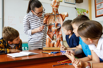 Biology teacher  showing her  students anatomy of human body.