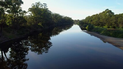 Wall Mural - Flight low over smooth water surface along trees at sunrise in Australia