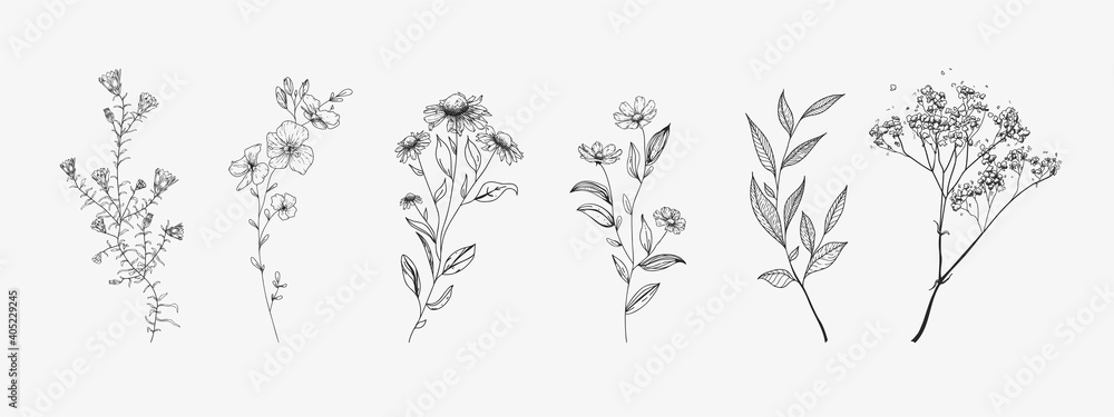 Set of wildflowers. Sketch style. - obrazy, fototapety, plakaty 