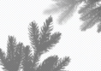 Aufkleber - Template Vector Background with Shadow of Christmas Tree. Transparent Design Element for Collage and Mock Up. Decorative Overlay Effect for Mockups, Posters and New Year Greeting Cards