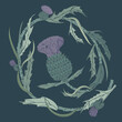 Thistle. Onopordum acanthium. Scottish Thistle, vector illustration. Template for invitation, poster, flyer, banner, etc.