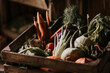 © MalteJaeger/Westend61 - Close-up of fresh and organic vegetables in box