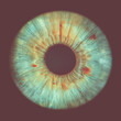 © Lorant - iris