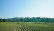 Scenic View Of Agricultural Field Against Clear Sky