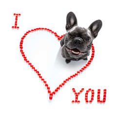 Canvas Print - dog valentines love heart