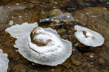 Beginning of the winter, Ice forms on the vegetation across the river. 