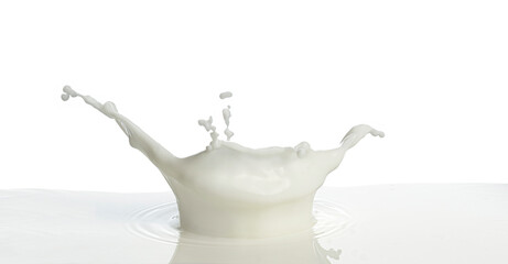 Wall Mural - pouring of milk splash isolated white background