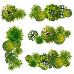 Wall Mural - collection of abstract watercolor green tree top view isolated on white background for landscape pla