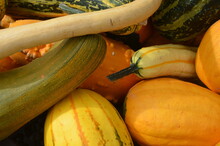 Piles Of Yellow Gourds And Squash For Sale At Outdoor Farmer's Market.