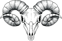 Steampunk Ram Skull Free Stock Photo - Public Domain Pictures