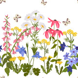 Fototapeta Kwiaty - Seamless vector illustration with wildflowers and butterflies on a white background.