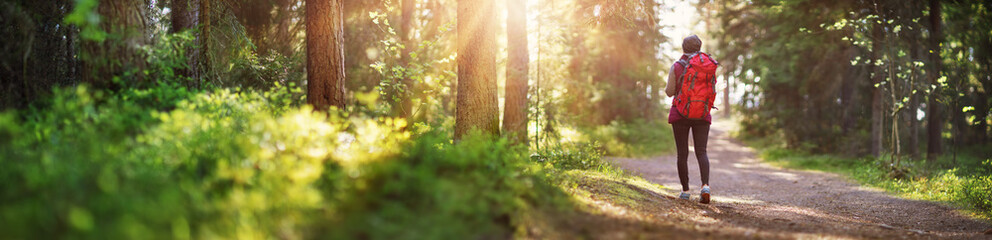 Wall Mural - woman hiking and going camping in nature