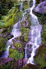 waterfall in the forest