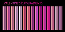 Valentine's Day Pink Metallic Rose Vector Gradients