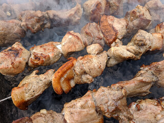 Grilled barbecue meat on skewers
