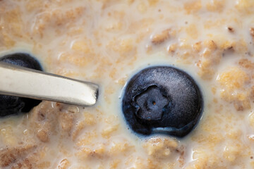 Sticker - healthy wheat flakes with milk and blueberries in white bowl