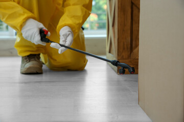 Pest control worker spraying pesticide indoors, closeup