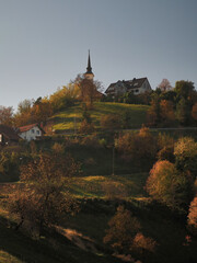 Poster - Vertical shot of buildings in a beautiful mountainous forest under the clear sky