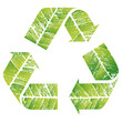 Recycling Symbol Leaf Vein Pattern Isolated