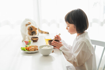 Wall Mural - 朝ごはんを食べる女の子と猫