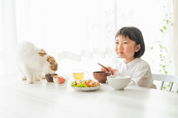 Wall Mural - 朝ごはんを食べる女の子と猫