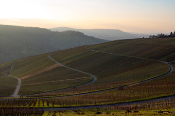  Ausblick über Weinberge 