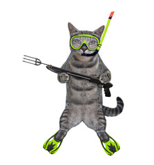 Wall Mural - A gray cat underwater hunter in a mask, a snorkel and flippers holds a harpoon. White background. Isolated.