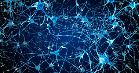 neurons in the head - flight, neuroactivity, synapses, neurotransmitters, brain, axons