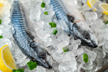 Poster - fresh mackerel on crushed ice with lemon