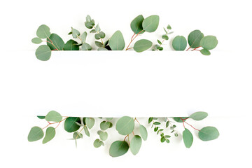 Wall Mural - Frame, border made of green leaves eucalyptus isolated on white background. flat lay, top view