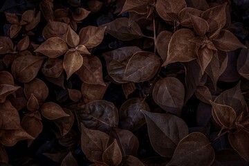 Wall Mural - brown leaves in the garden. Light and shadow of leaves in dark tones.